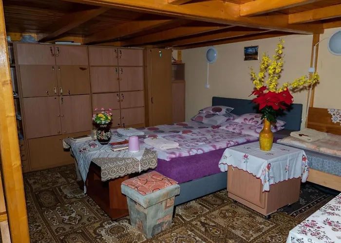 Family Studio
